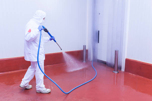 Best Heavy Equipment Washing  in Little Elm, TX
