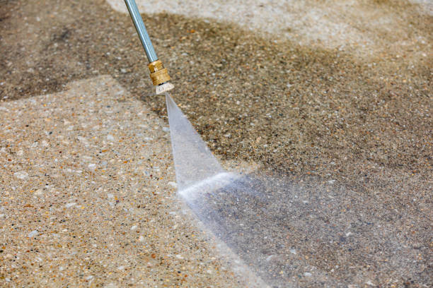 Best Animal Enclosure Cleaning  in Little Elm, TX
